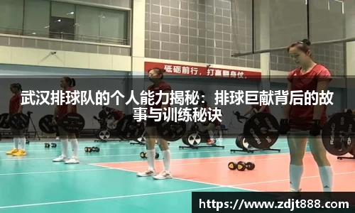 芒果体育